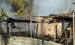 Muğla'da ev ve ahır yangını