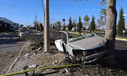 Nevşehir'de ağaca çarpan otomobil ikiye bölündü: 2 ölü 1 yaralı