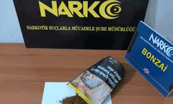 Ordu’da yasaklı madde operasyonlarında 5 tutuklama