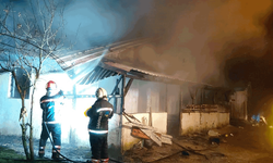 Sakarya'da korkutan ev yangını