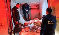 Samsun'da 2,6 ton kaçak midye ele geçirildi