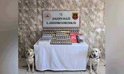 Şanlıurfa’da 5 bin paket kaçak sigara ele geçirildi