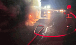 Şanlıurfa'da salça yüklü tır alevlere teslim oldu