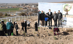 Şehit Eyyüp Dereli anısına fidanlar toprakla buluştu