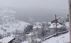 Sivas'ta kar yağışı etkili oldu