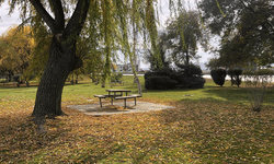 Sonbahar Eskişehir’i sardı, sokaklar fotoğraflık görüntülere büründü