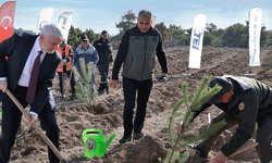 TEI’den 17 bin fidanlık hatıra ormanı