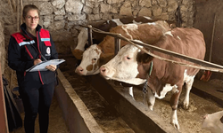 Afyon'da besicilere yönelik denetim