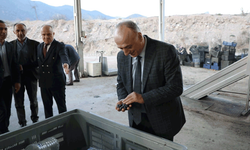 Ağaç sayısı 70 bini aştı: Sarıcakaya’da zeytinyağı üretimi zirveye koşuyor