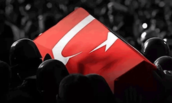 Bakan Yerlikaya duyurdu: 3 şehitimiz var