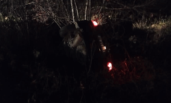 Bartın'da bir araç şarampole devrildi