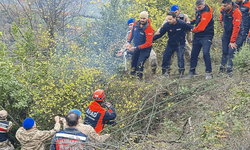 Bartın'da düştüğü çalılık mezarı oldu