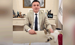 Başkan Dökmeci'den Dünya Kadın Hakları Günü mesajı