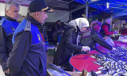 Bilecik’te balık tezgahlarına yönelik denetim