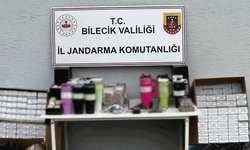 Bilecik'te kaçakçılık operasyonu düzenlendi