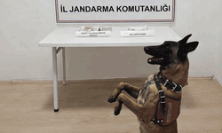 Bilecik’te şüpheli araçta zehir bulundu