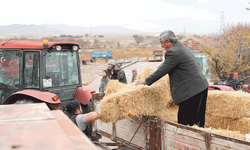 Büyükşehir’den Günyüzü’ndeki üreticilere 16 tonluk destek