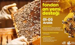 Çifteler’de arıcılara kış aylarında besin desteği