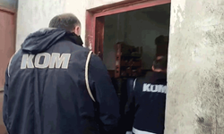 Düzce'de polis ve jandarma narkotik operasyonu