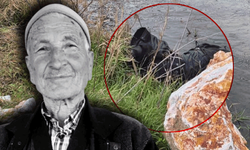 Eskişehir treni yayaya çarptı: Yaşlı adam kurtarılamadı