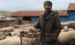 Eskişehir’de alışılmadık görüntü: Kışın ortasında sürüler kırlarda