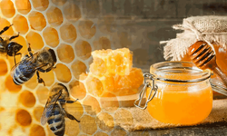 Eskişehir’de balın verimi ve kalitesi uzaydan takip edilecek