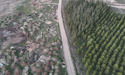 Eskişehir’de geri dönüşümden kaçanlar mera alanını çöpe boğdu