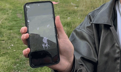 Eskişehir’de korkunç görüntü: 8 kedi ölüsü bulundu