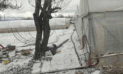 Eskişehir’de soğuklar seraları da vurdu