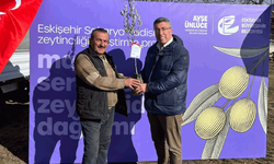 Eskişehir’de zeytincilik atağı: Üreticilere dağıtıldı