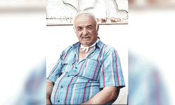 Gaziantep'te kafasını ağaç dalına çarpıp traktörden düşen çiftçi hayatını kaybetti