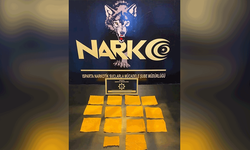 Isparta'da yasaklı madde operasyonu: 1 tutuklama