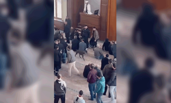 Kocaeli'de camiye giren pitbull tedirginliğe neden oldu