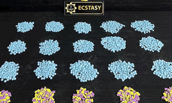 Malatya'da yasaklı madde operasyonu