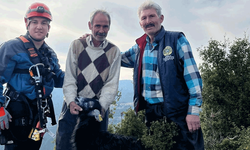 Mersin'de kayalıklarda mahsur kalan 2 keçi itfaiye ekiplerince kurtarıldı