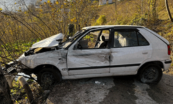 Ordu'da otomobil fındık bahçesine devrildi