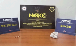 Ordu’da yasaklı madde operasyonlarında 2 tutuklama