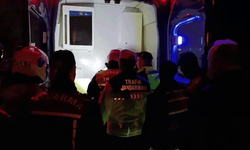 Sakarya'da alkollü sürücü denetimde zorluk çıkardı