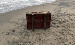 Samsun'da kıyıya vuran sandık incelemeye alındı