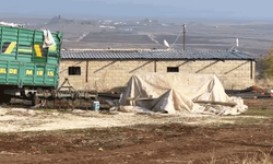 Şanlıurfa'da elektrik denetiminden gizli kripto üretim tesisi çıktı