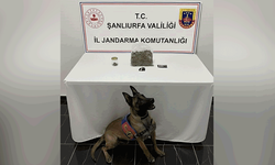 Şanlıurfa’da yasaklı madde operasyonu: 1 gözaltı