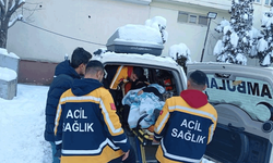 Siirt'te doğum sancısı tutan hasta, 5 saatlik çalışmayla hastaneye ulaştırıldı