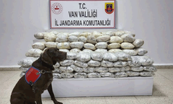 Van'da 60 kg yasaklı madde ele geçirildi