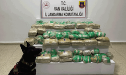 Van’da büyük zehir operasyonu