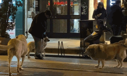 Yere düştü, öldü sanıldı: 112’yi harekete geçiren ihbar