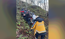 Zonguldak'ta otomobil ormanlık alana uçtu, 2 yaralı