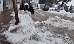 Adana'da  40 santimetreyi bulan kar yağışı hayatı olumsuz etkiledi