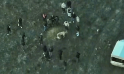 Afyon'da köpek dövüştüren şahıslara baskın: 14 gözaltı