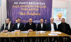 Albayrak: Nadir Toprak Elementlerinin kalbi Beylikova