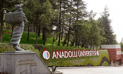 Anadolu Üniversitesi Avrupa'da ilk 500, Batı Asya'da ilk 30'da
